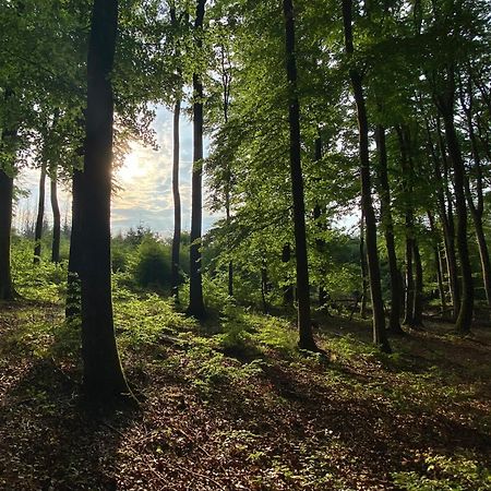 Fruehstueckspension Zur Krone Bad Endbach ภายนอก รูปภาพ